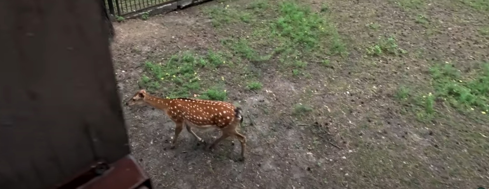 Novosibirsk Zoo