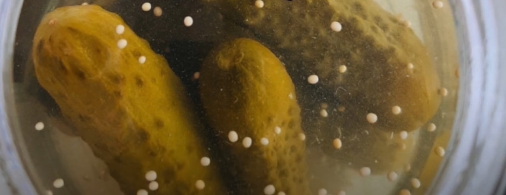 Pickles Food