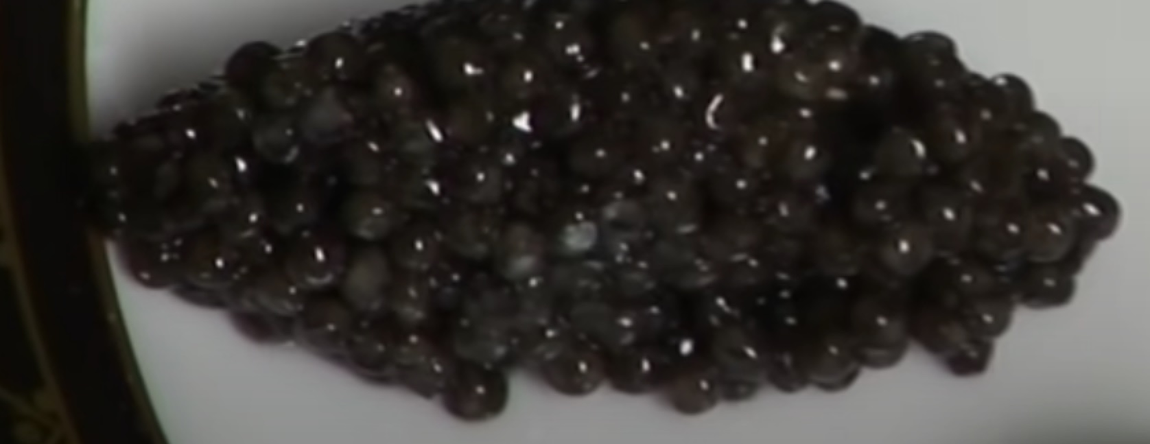 Sturgeon Food